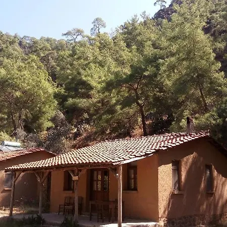 Pastoral Valley Farm Hotel