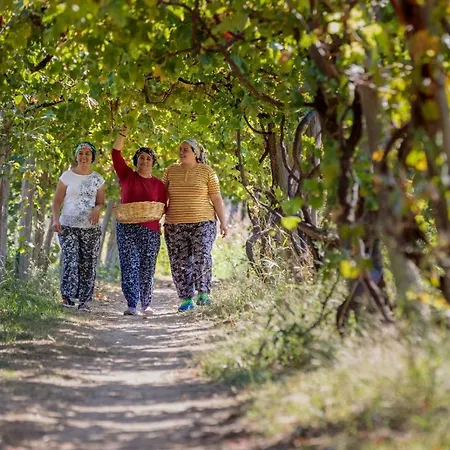 Pastoral Valley Farm Fethiye
